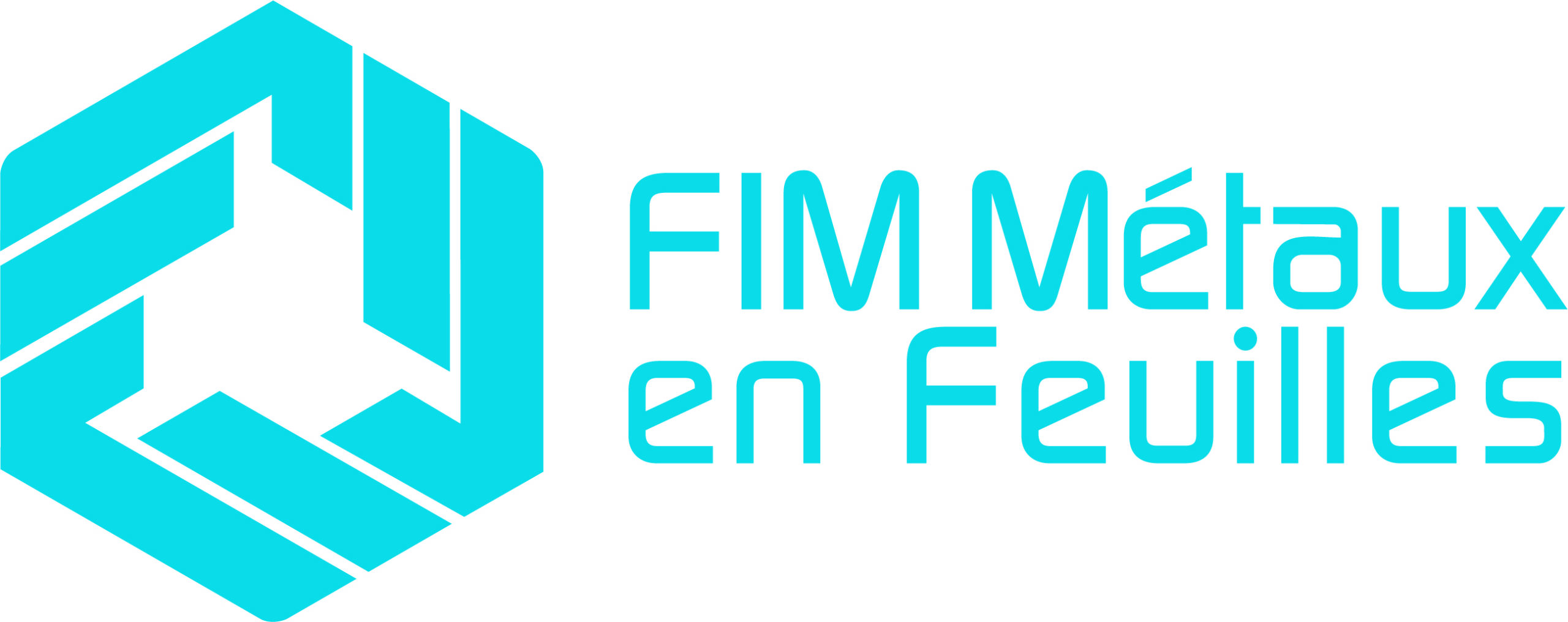 Logo FIMMEF